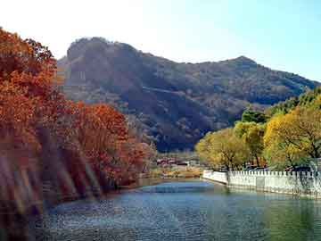 澳门二四六天天彩图库，烟台借钱